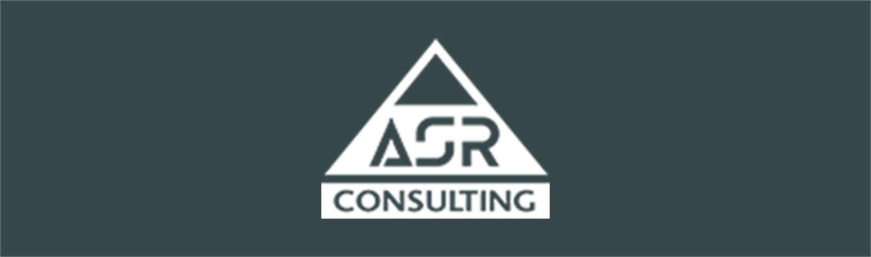 POLYPOINT-Partnerlogo-asr-consulting