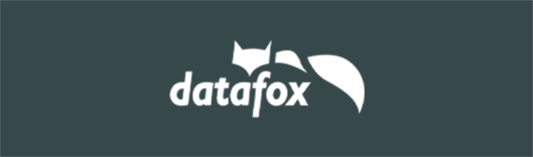POLYPOINT-Partnerlogo-datafox